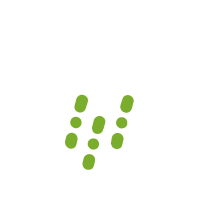 Rainfall