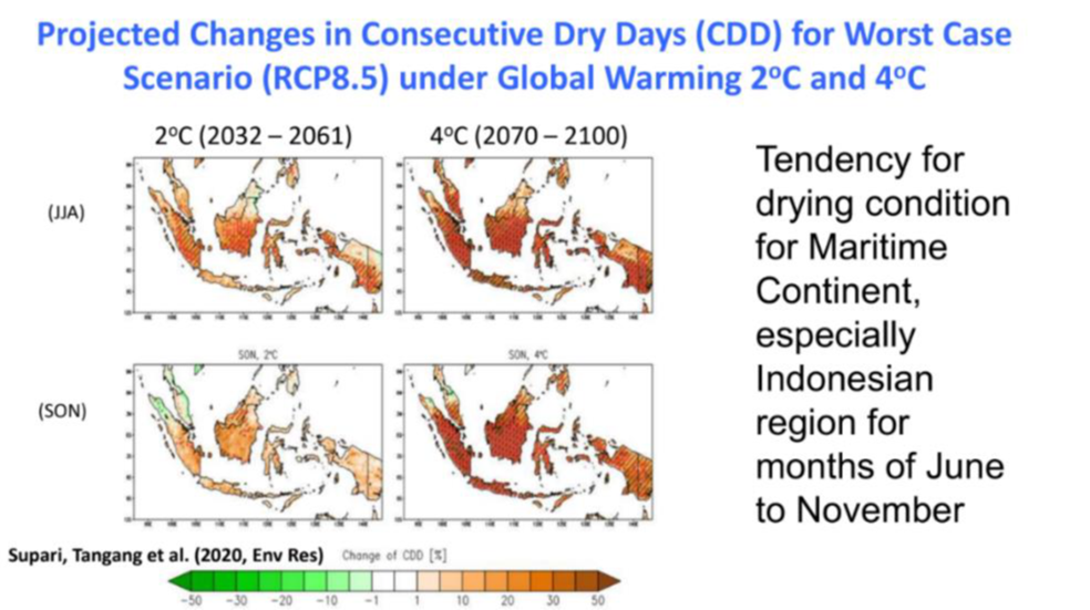 arcdap3_findings_CORDEX_SEA